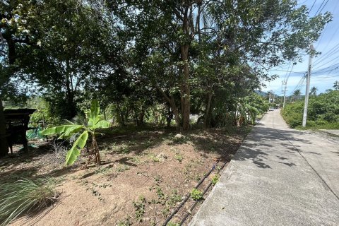 Земельный участок в Самуи, Таиланд 3410м2  № 152797 - фото 6