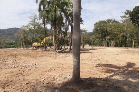 Land in Phuket, Thailand 24000 sq.m. № 167230 - photo 5