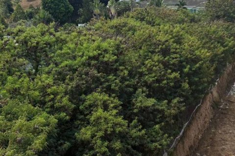 Студия в кондо в Пхукете, Таиланд № 167227 - фото 7