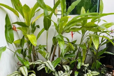 Maison à Hang Dong, Thaïlande 3 chambres № 173818 - photo 13