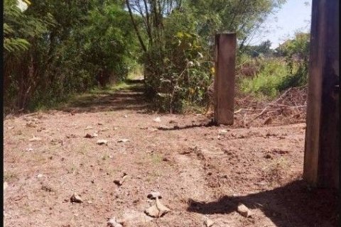 Земельный участок в Чиангмае, Таиланд 2128м2 № 170582 - фото 6