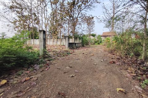 Земельный участок в Чиангмае, Таиланд 2128м2 № 170582 - фото 5