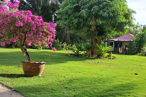 Земельный участок в Чанге, Таиланд 9800м2  № 151533 - фото 2