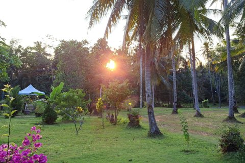 Земельный участок в Чанге, Таиланд 9800м2  № 151533 - фото 5