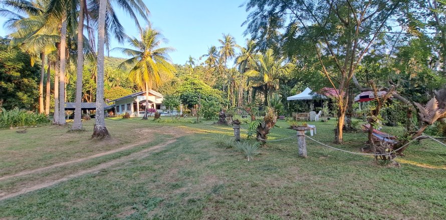 Земельный участок в Чанге, Таиланд 9800м2  № 151533