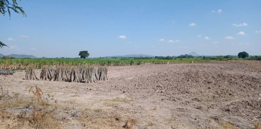 Land in Lopburi, Thailand 224000 sq.m. № 151531