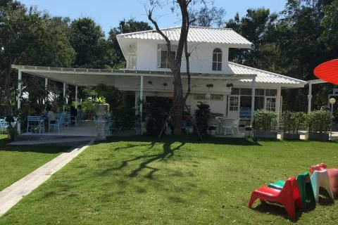 Terrain à Hua Hin, Thaïlande 1321.2 m2 № 161184 - photo 4