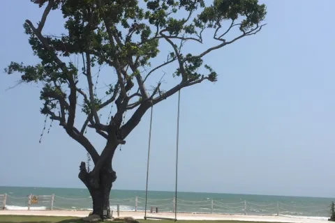 Terrain à Hua Hin, Thaïlande 1321.2 m2 № 161184 - photo 7