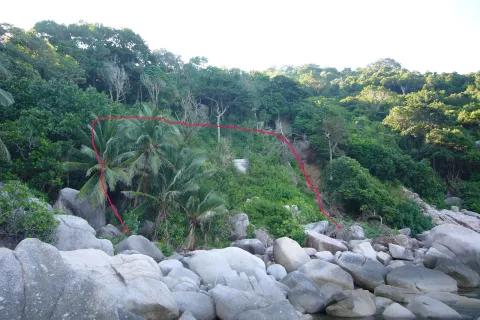 Land in Ko Tao, Thailand 1600 sq.m. № 152084 - photo 3