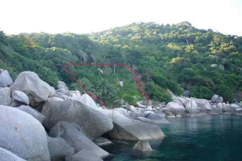 Land in Ko Tao, Thailand 1600 sq.m. № 152084