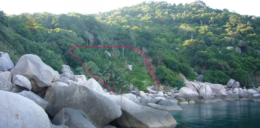 Land in Ko Tao, Thailand 1600 sq.m. № 152084
