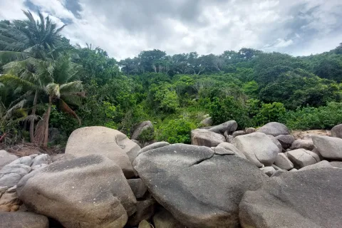 Land in Ko Tao, Thailand 1600 sq.m. № 152084 - photo 2