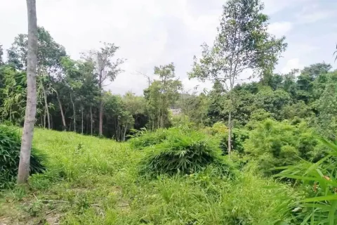 Земельный участок в Пхукете, Таиланд 12800м2  № 152085 - фото 2