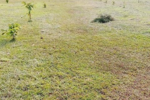 Terrain à Phuket, Thaïlande 2863.2 m2 № 154877 - photo 8