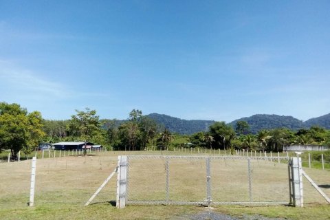Terrain à Phuket, Thaïlande 2863.2 m2 № 154877 - photo 3