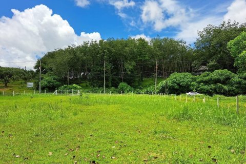 Terrain à Phuket, Thaïlande 2863.2 m2 № 154877 - photo 6