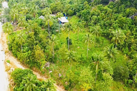 Land in Surat Thani, Thailand 4800 sq.m. № 169519 - photo 4