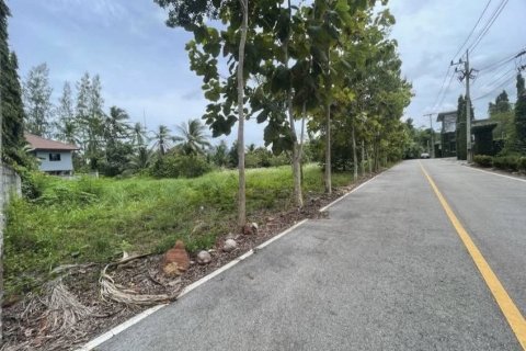 Земельный участок в Сураттхани, Таиланд 4418.4м2  № 147468 - фото 17