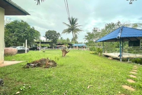 Земельный участок в Сураттхани, Таиланд 4418.4м2  № 147468 - фото 6