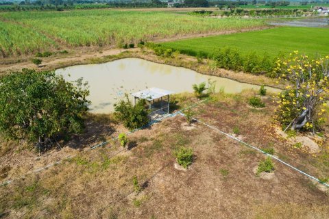 Terrain à Suphanburi, Thaïlande 17616 m2 № 155090 - photo 8