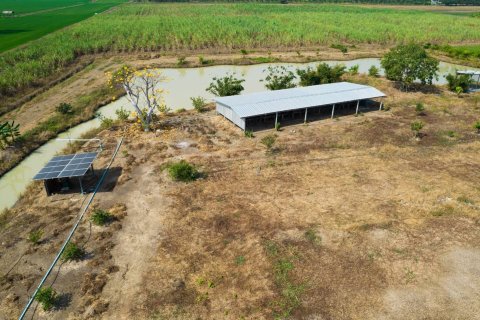 Terrain à Suphanburi, Thaïlande 17616 m2 № 155090 - photo 5