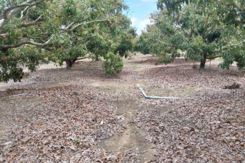 Земельный участок в Сан Па Тонге, Таиланд 14400м2 № 148882 - фото 12