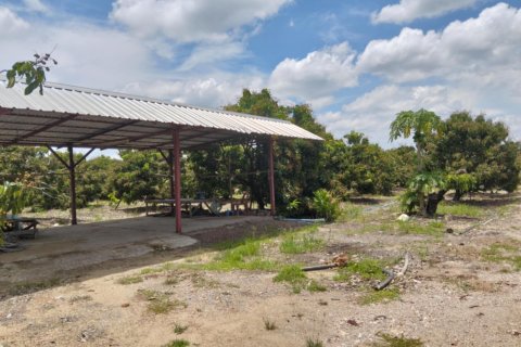 Земельный участок в Сан Па Тонге, Таиланд 14400м2 № 148882 - фото 7