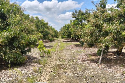 Земельный участок в Сан Па Тонге, Таиланд 14400м2 № 148882 - фото 5