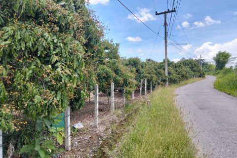 Земельный участок в Сан Па Тонге, Таиланд 14400м2 № 148882 - фото 11