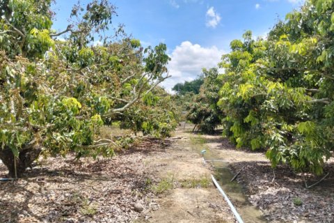 Земельный участок в Сан Па Тонге, Таиланд 14400м2 № 148882 - фото 4