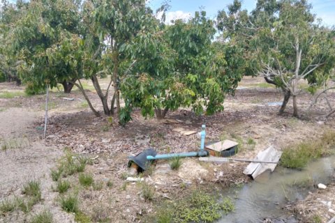 Земельный участок в Сан Па Тонге, Таиланд 14400м2 № 148882 - фото 6