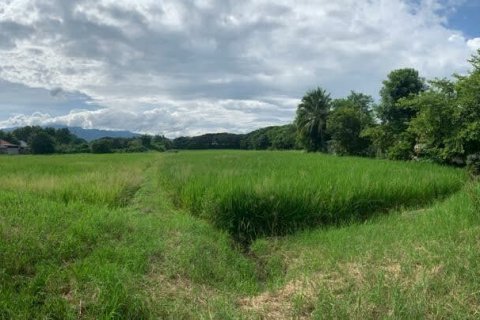 Земельный участок в Сан-Сая, Таиланд 22800м2 № 159536 - фото 5