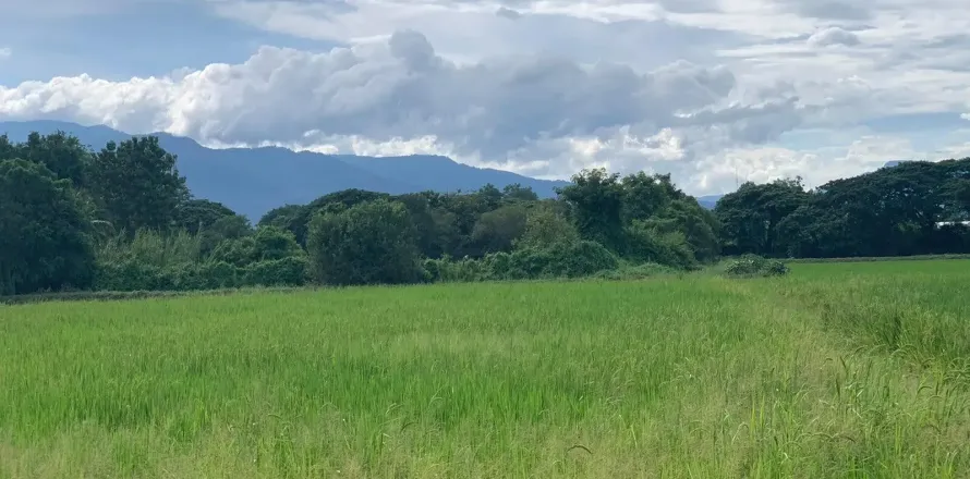 Земельный участок в Сан-Сая, Таиланд 22800м2 № 159536