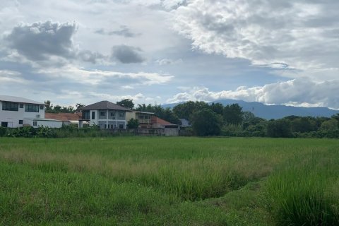 Земельный участок в Сан-Сая, Таиланд 22800м2 № 159536 - фото 6