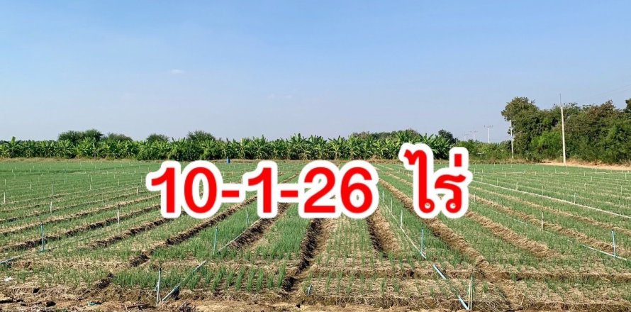 Land in Tha Muang, Thailand 16000 sq.m. № 159537