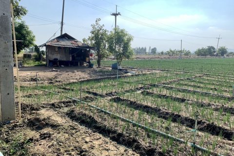 Land in Tha Muang, Thailand 16000 sq.m. № 159537 - photo 6