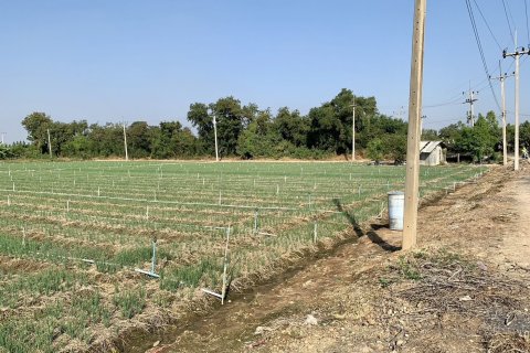 Land in Tha Muang, Thailand 16000 sq.m. № 159537 - photo 3