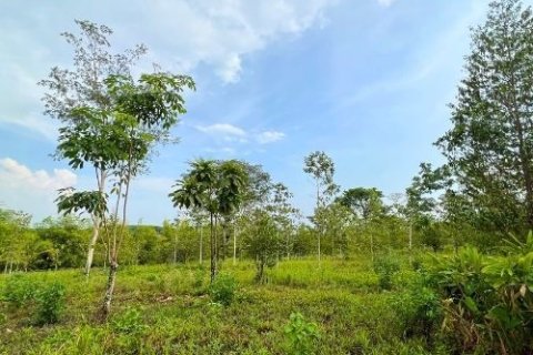 Land in Trat, Thailand 52800 sq.m. № 159533 - photo 5