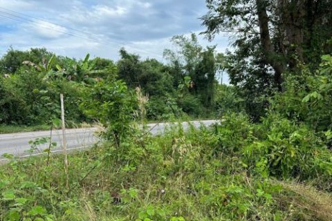 Land in Trat, Thailand 52800 sq.m. № 159533 - photo 4