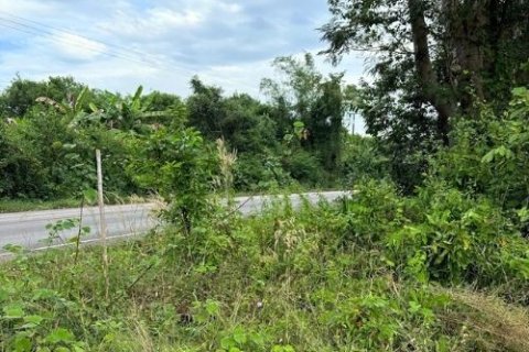 Land in Trat, Thailand 52800 sq.m. № 159533 - photo 6