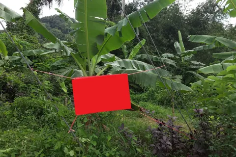 Земельный участок в Накхонпатхоме, Таиланд 9468м2  № 159532 - фото 3