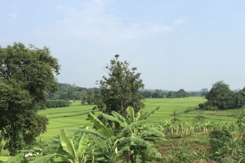 Земельный участок в Мае Танге, Таиланд 3200м2  № 145868 - фото 4