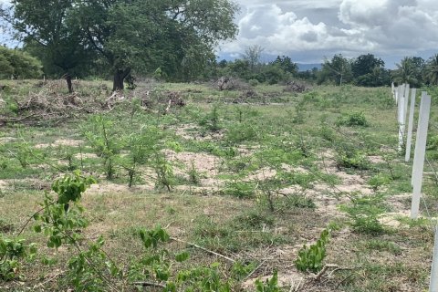 Terrain à Hua Hin, Thaïlande 8000 m2 № 147531 - photo 9