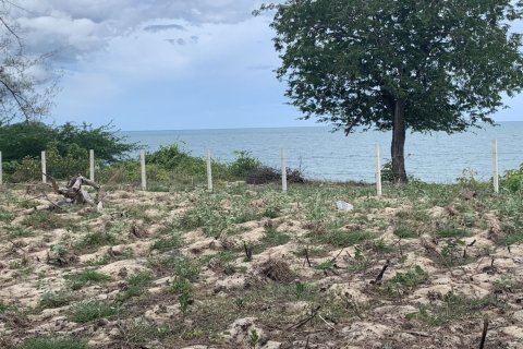 Terrain à Hua Hin, Thaïlande 8000 m2 № 147531 - photo 10