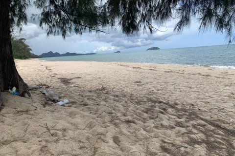 Terrain à Hua Hin, Thaïlande 8000 m2 № 147531 - photo 3