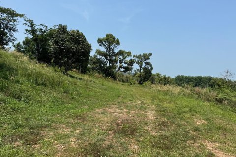 Terrain à Phuket, Thaïlande 38204 m2 № 151979 - photo 6