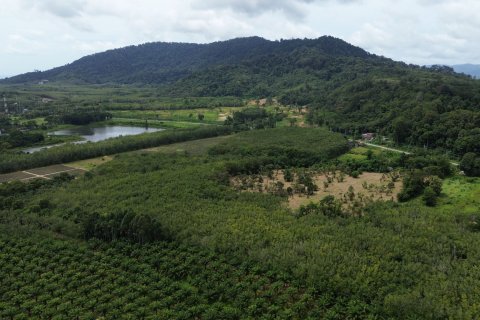 Земельный участок в Пхукете, Таиланд 38204м2  № 151979 - фото 8