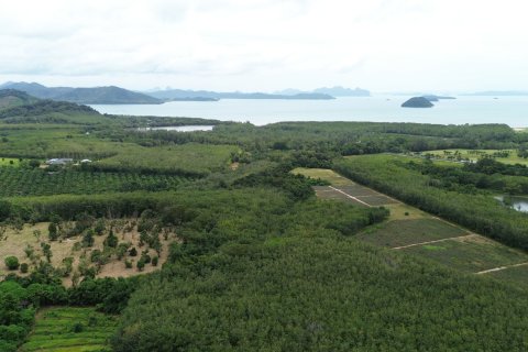 Земельный участок в Пхукете, Таиланд 38204м2  № 151979 - фото 10