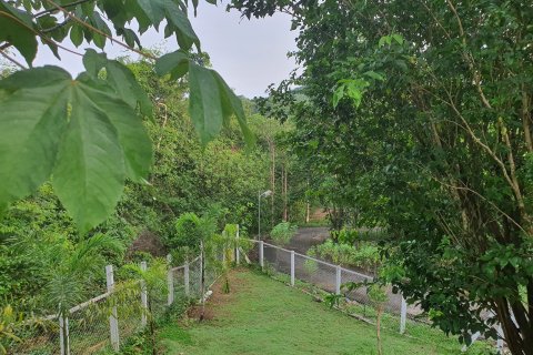 Земельный участок в Пак Чонге, Таиланд 20000м2  № 159525