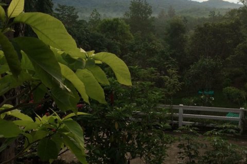 Земельный участок в Пак Чонге, Таиланд 20000м2  № 159525 - фото 8